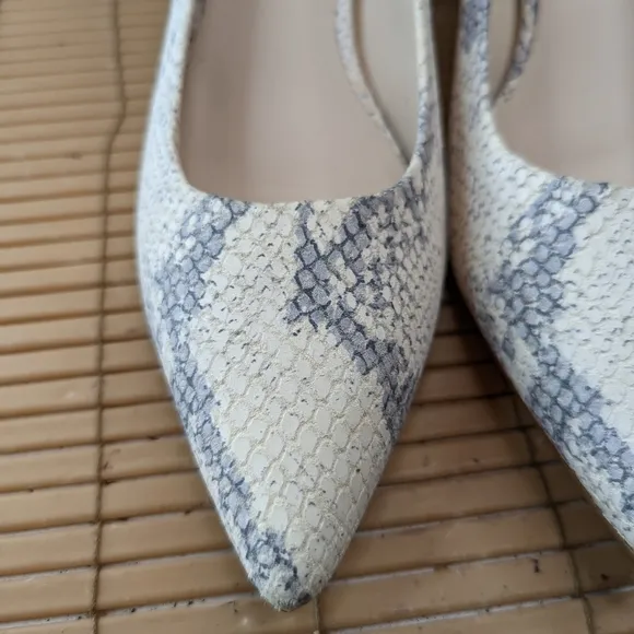 Cole Haan Womens Vesta Leather Snake Print Pointed Toe 3&quot; Heels Shoes . Sz 9.5B.