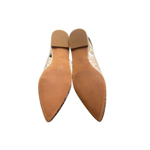 Cole Haan Eden Skimmer Flats Snakeskin Print Womens Size 5 NEW WITH BOX