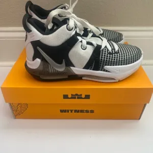 LeBron Witness VII Nike Basketball Shoes
