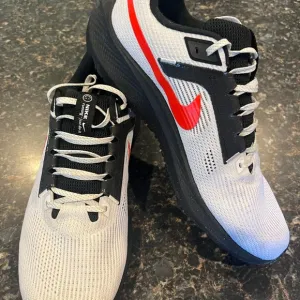 Nike Pegasus Men's Black and orange Running Shoes