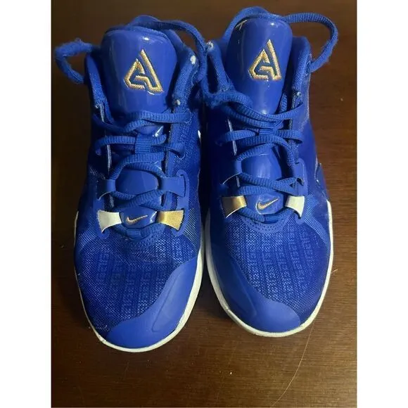 Nike Zoom Freak 1 high tops size 4.5Y