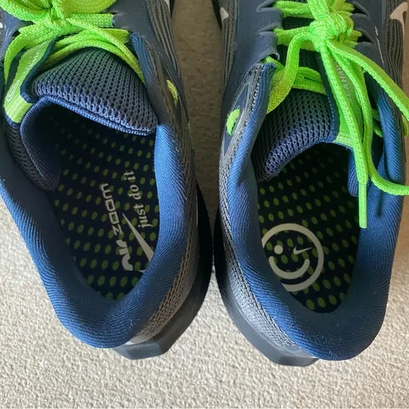 Nike Zoom Pegasus 40 Men’s Gray and Green Athletic Shoes Size 10.5
