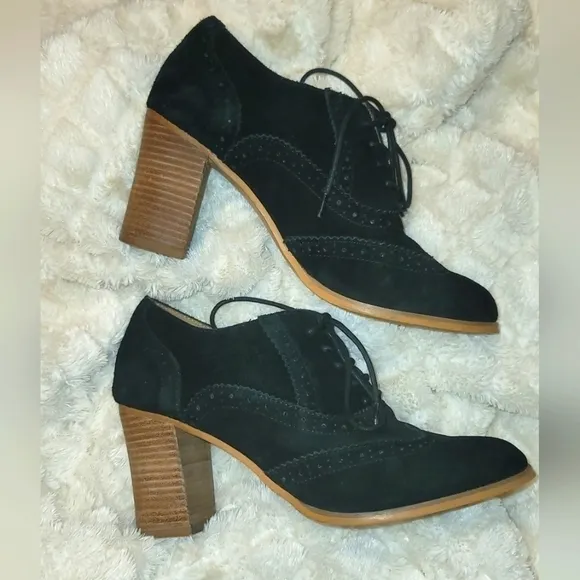 𝅺steve Madden Oxford Suede Shoes