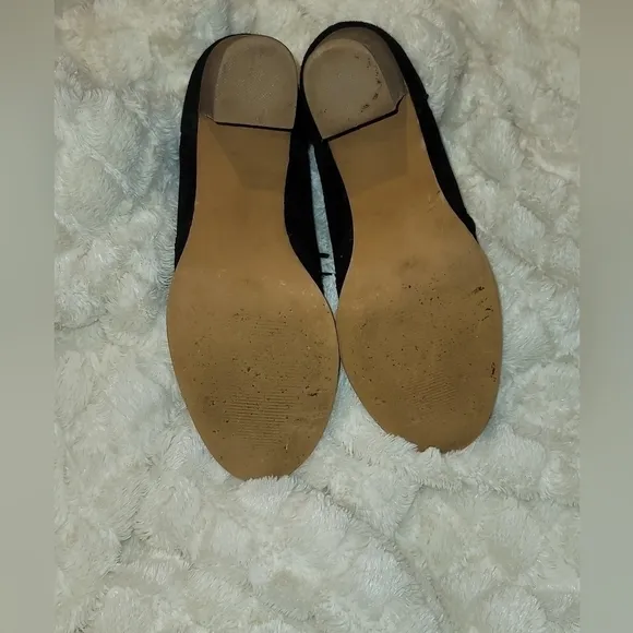 𝅺steve Madden Oxford Suede Shoes