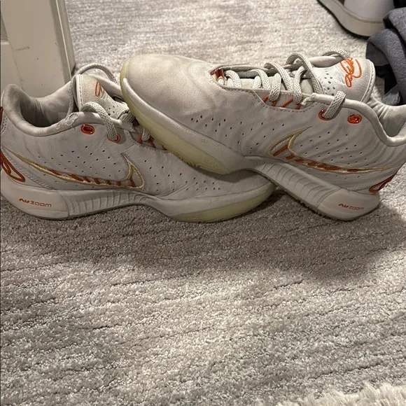 USED- Nike LeBron 21 Akoya