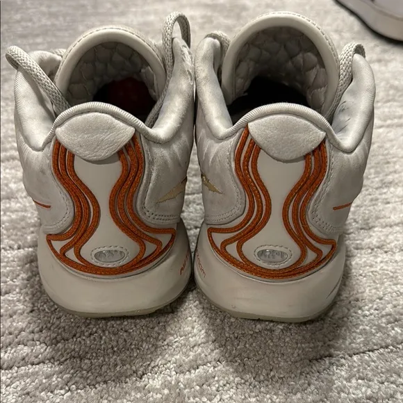 USED- Nike LeBron 21 Akoya