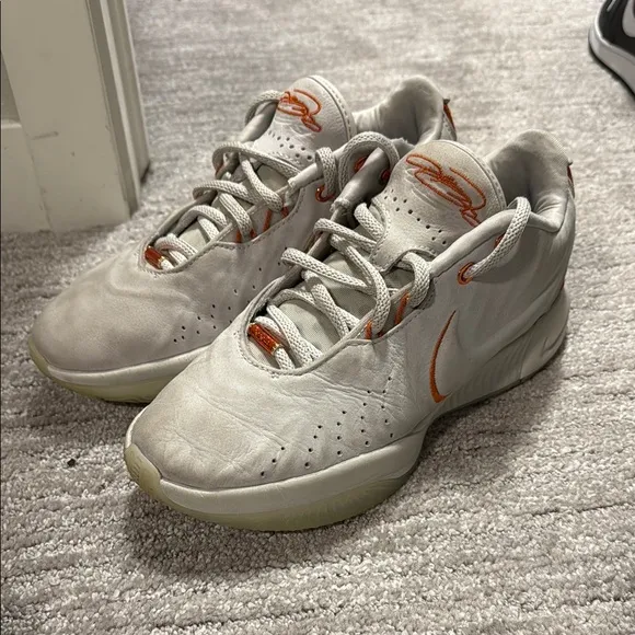 USED- Nike LeBron 21 Akoya